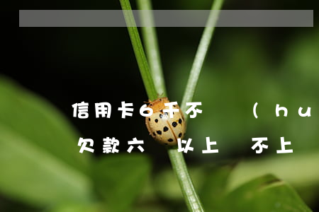 信用卡6千不還會(huì)怎么樣(信用卡欠款六萬以上還不上會(huì)怎樣)