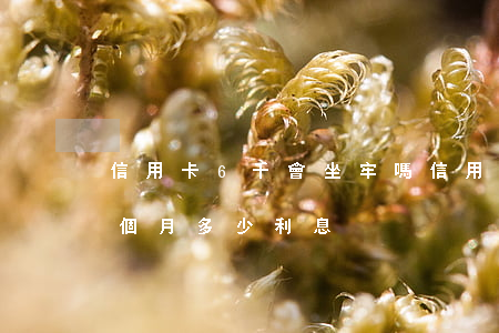 信用卡6千會坐牢嗎(信用卡6000塊錢一個月多少利息)