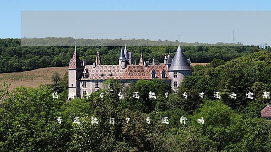 信用卡6号还款9号才还会逾期吗(信用卡5号还款日7号还行吗)
