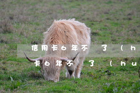 信用卡6年不還了會(huì)怎么樣(信用卡6年不還了會(huì)怎么樣)