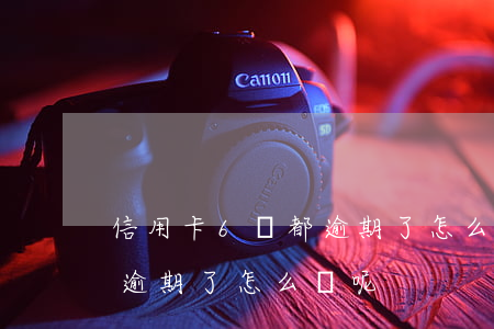 信用卡6張都逾期了怎么辦-信用卡6張都逾期了怎么辦呢