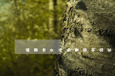 信用卡6次逾期可不可以辦貸款