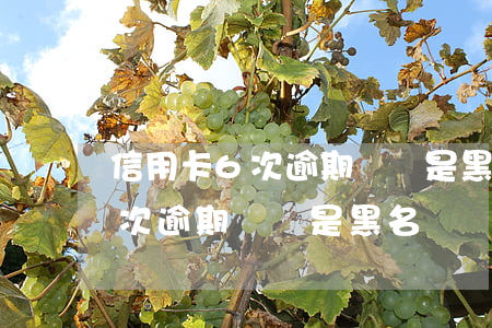 信用卡6次逾期記錄是黑名單嗎-信用卡6次逾期記錄是黑名單嗎怎么解除