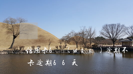 信用卡6萬(wàn)逾期不還判幾年（信用卡逾期66天）
