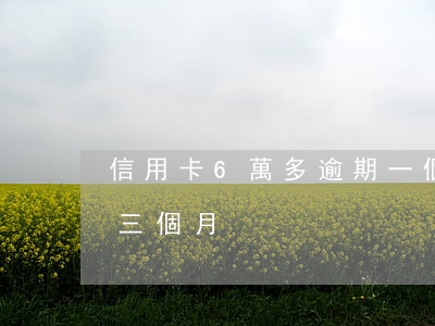 信用卡6萬多逾期一個月（欠六千信用卡逾期三個月）