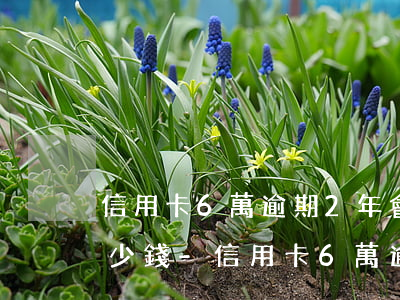 信用卡6萬逾期2年會產(chǎn)生多少錢-信用卡6萬逾期2年會產(chǎn)生多少錢利息