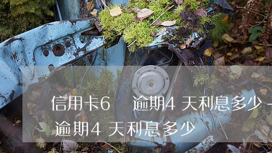 信用卡6萬逾期4天利息多少-信用卡6萬逾期4天利息多少