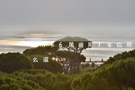 信用卡6萬逾期7年(信用卡6萬逾期7年怎么還)
