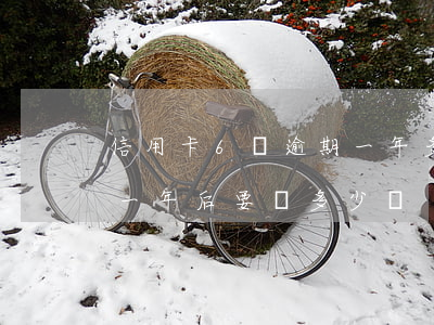 信用卡6萬逾期一年多了(信用卡逾期6千塊一年后要還多少錢)