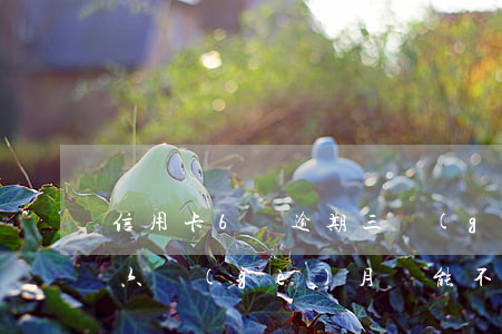 信用卡6萬逾期三個(gè)月（信用卡逾期六個(gè)月還能不能辦）