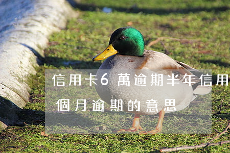 信用卡6萬逾期半年（信用卡連續(xù)6個月逾期的意思）