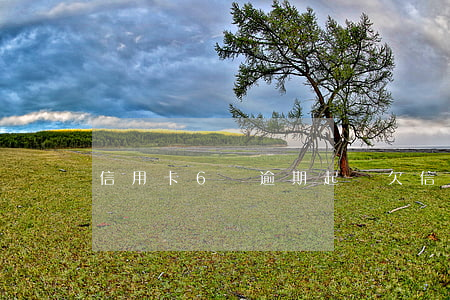 信用卡6萬逾期起訴(欠信用卡6千多被起訴)