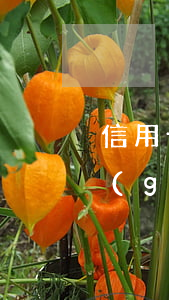 信用卡7000塊錢(qián)逾期一個(gè)半月(信用卡20000塊逾期一天)