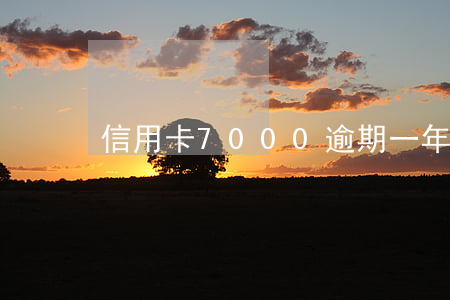 信用卡7000逾期一年