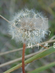 信用卡797億逾期半年(信用卡797億逾期半年過(guò)度消費(fèi)正在摧毀年輕人的生活)