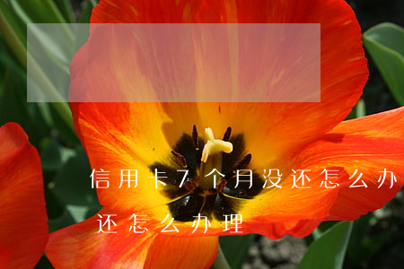 信用卡7个月没还怎么办-信用卡7个月没还怎么办理