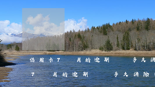 信用卡7個月的逾期記錄多久消除-信用卡7個月的逾期記錄多久消除掉