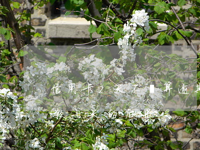 信用卡7天不還算逾期嗎（建行信用卡逾期還款七天的后果）