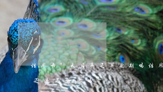 信用卡7天后再还算逾期吗?（信用卡逾期6天还清还能用吗）