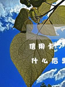 信用卡7天后再还算逾期吗(还款逾期7天有什么后果)