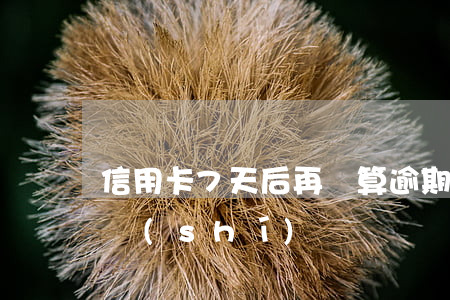 信用卡7天后再還算逾期嗎?（信用卡逾期6小時(shí)還）