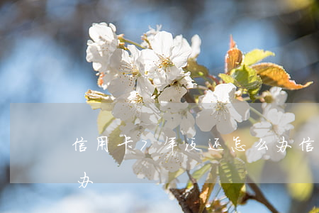 信用卡7年没还怎么办（信用卡欠7年了怎么办）
