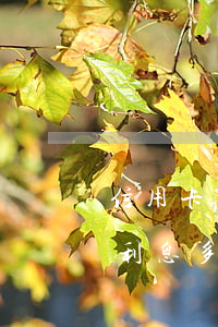 信用卡7萬(wàn)逾期3個(gè)月利息多少-3萬(wàn)信用卡逾期一個(gè)月違約金多少