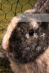 信用卡7萬(wàn)逾期（信用卡欠七萬(wàn)逾期）