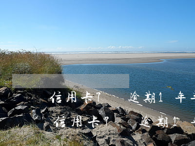 信用卡7萬逾期1年半罰金2萬多怎么辦-信用卡7萬逾期1年半罰金2萬多怎么辦呢