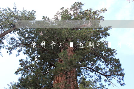 信用卡7萬逾期4個月(信用卡7萬逾期4個月)