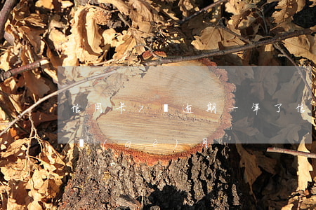 信用卡7萬逾期一年了 信用卡6萬多逾期一個(gè)月