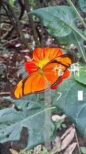 信用卡7號到期8號還款算逾期嗎-信用卡7號到期8號還款算逾期嗎怎么辦