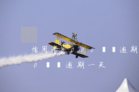 信用卡8000塊錢逾期一天(信用卡8000塊錢逾期一天)