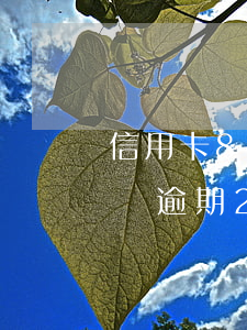 信用卡8000塊錢逾期 信用卡8000塊錢逾期2天多少利息