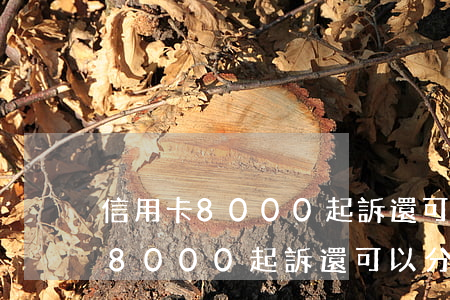 信用卡8000起訴還可以分期嗎-信用卡8000起訴還可以分期嗎多少錢
