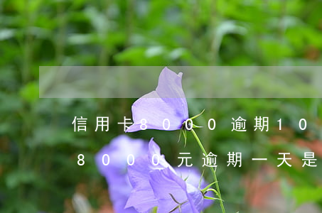 信用卡8000逾期10天多少錢-信用卡8000元逾期一天是多少