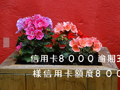 信用卡8000逾期3年會(huì)怎么樣（信用卡額度8000欠4年）