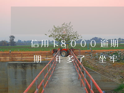 信用卡8000逾期一年(信用卡8000逾期一年多了會坐牢嗎)
