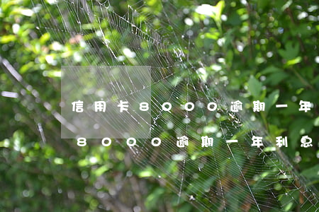 信用卡8000逾期一年利息多少-信用卡8000逾期一年利息多少錢