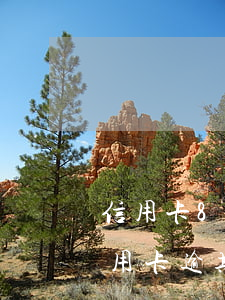 信用卡8000逾期三個月會不會被起訴（信用卡逾期一個月還點會起訴）