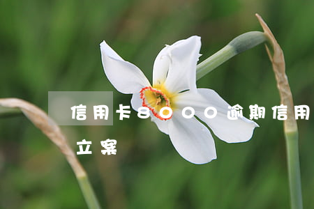 信用卡8000逾期（信用卡逾期16000立案）