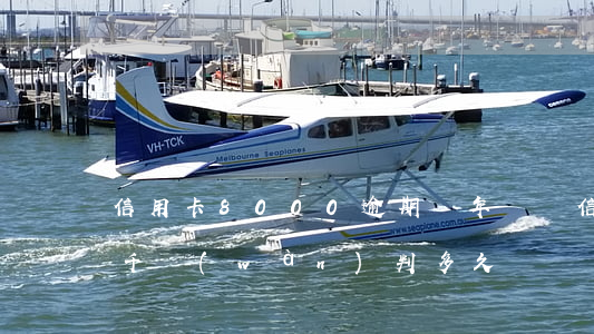 信用卡8000逾期兩年（兩張信用卡逾期8千萬(wàn)判多久）