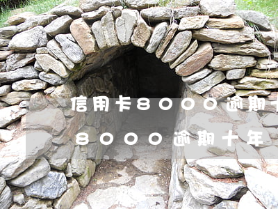 信用卡8000逾期十年還多少錢-信用卡8000逾期十年還多少錢利息