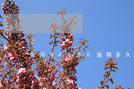 信用卡8000逾期多久会上门催收？