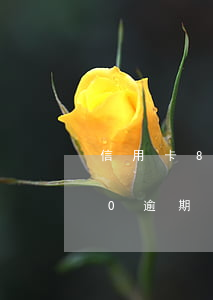 信用卡8000逾期會怎么樣(信用卡8000逾期三年多少利息)