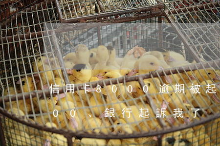 信用卡8000逾期被起訴(我欠信用卡8000、銀行起訴我了)