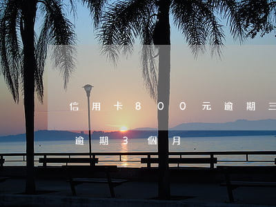 信用卡800元逾期三個月(信用卡1500逾期3個月)