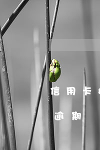 信用卡80元逾期還能貸款嗎 信用卡80萬逾期還不起
