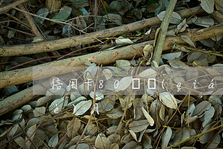 信用卡80塊錢(qián)逾期4個(gè)月