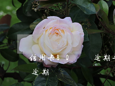 信用卡80塊錢逾期半個月(信用卡60塊錢逾期)
